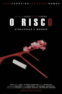 O Risco (2011) poster
