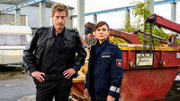 «Friesland (2014)» — обои к сериалу #3