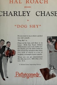 Poster de Dog Shy