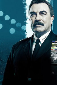 Постер сериала «Голубая кровь (2010 - 2024)» — (40 из 149)