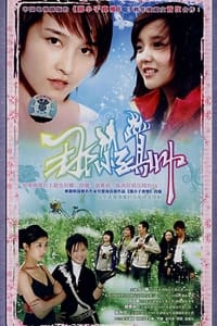 那小子真帅 (2008)