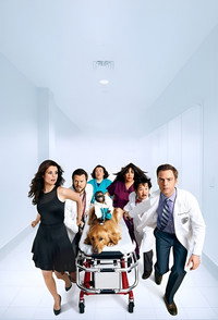 Постер сериала «Ветеринарная клиника (2012)» — (4 из 8)