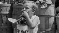 «Adventures of Popeye (1935)» — обои к мультфильму #1