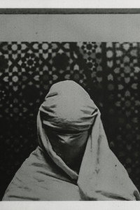 The Fold (2026) poster