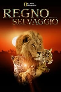 copertina serie tv Regno+Selvaggio 2016