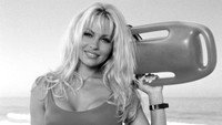 «Playboy: The Best of Pamela Anderson (1995)» — обои к фильму #1