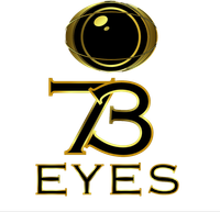 73 Eyes