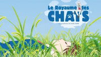 Le Royaume des Chats