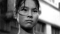 «Свиньи и броненосцы (1961)» — обои к фильму #1