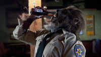 Wolfcop