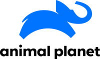 Animal Planet