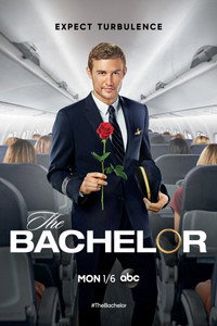 Постер сериала «Холостяк (2002)» — (23 из 157)