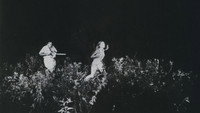 Massacre à la tronçonneuse
