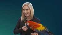 «Secrets of the Zoo (2018)» — обои к сериалу #2
