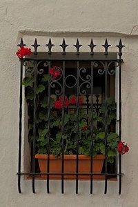Las calles que nos quedan
