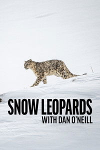 Snow Leopards with Dan O'Neill