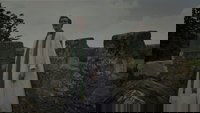 The Borderlands