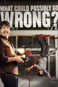 copertina serie tv What+Could+Possibly+Go+Wrong%3F 2015