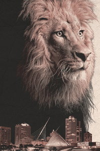 Постер к фильму Urban Predator: Lion on the Loose (2016)
