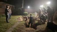 Обои к сериалу «Тёмный лес (2020)» — (11 из 18)
