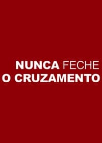 Nunca Feche o Cruzamento (2011)