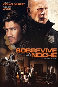 Poster de Una Noche Larga