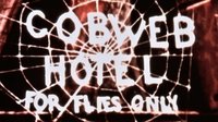 The Cobweb Hotel