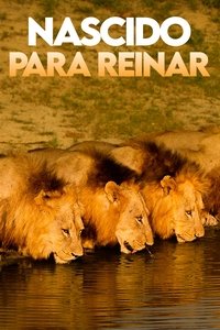 Imagem do Filme Nascido para Reinar