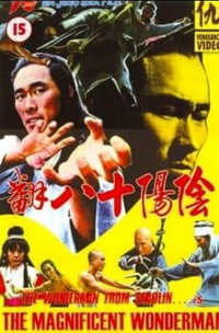 Постер фильма «Замечательный и удивительный (1980)» — (3 из 4)