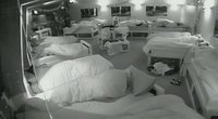 Day 5 Highlights