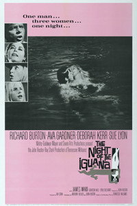 Постер фильма «Ночь игуаны (1964)» — (6 из 27)