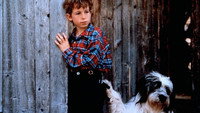 «Рождество с Вилли Гавом (1994)» — обои к фильму #1