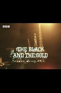Poster de The Black and the Gold