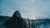 The Revenant