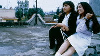 «Никто тебя не слышит: Аромат фиалок (2001)» — обои к фильму #5