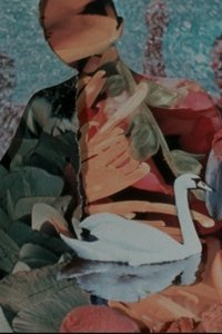 Poster de Shells and Rushes