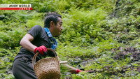 Kyoto Foraging Master - Nakahigashi Hisato
