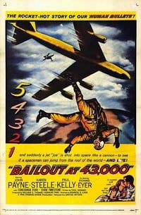 Poster de Bailout at 43,000