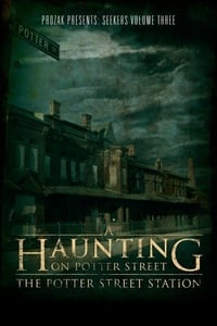 A Haunting on Potter Street: The Potter Street Station (2012)