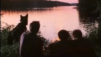 «Охотник за браконьерами (1975)» — обои к фильму #1