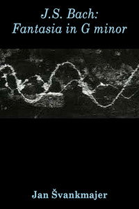 J.S. Bach: Fantasia in G minor