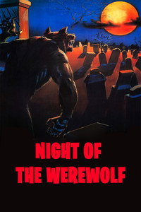 Постер фильма «Возвращение оборотня (1981)» — (5 из 23)