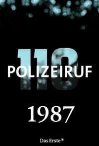 Polizeiruf 110 - Season 17