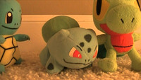 Mega Evolution
