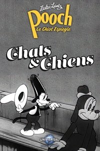Chats et Chiens