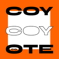 Coy Coyote
