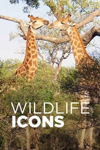 tv show poster Wildlife+Icons 2015