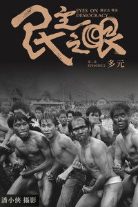 Eyes on Democracy: Diverse