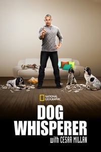 tv show poster Dog+Whisperer 2004