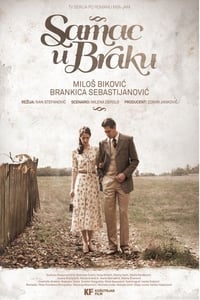 Samac u braku (2014)